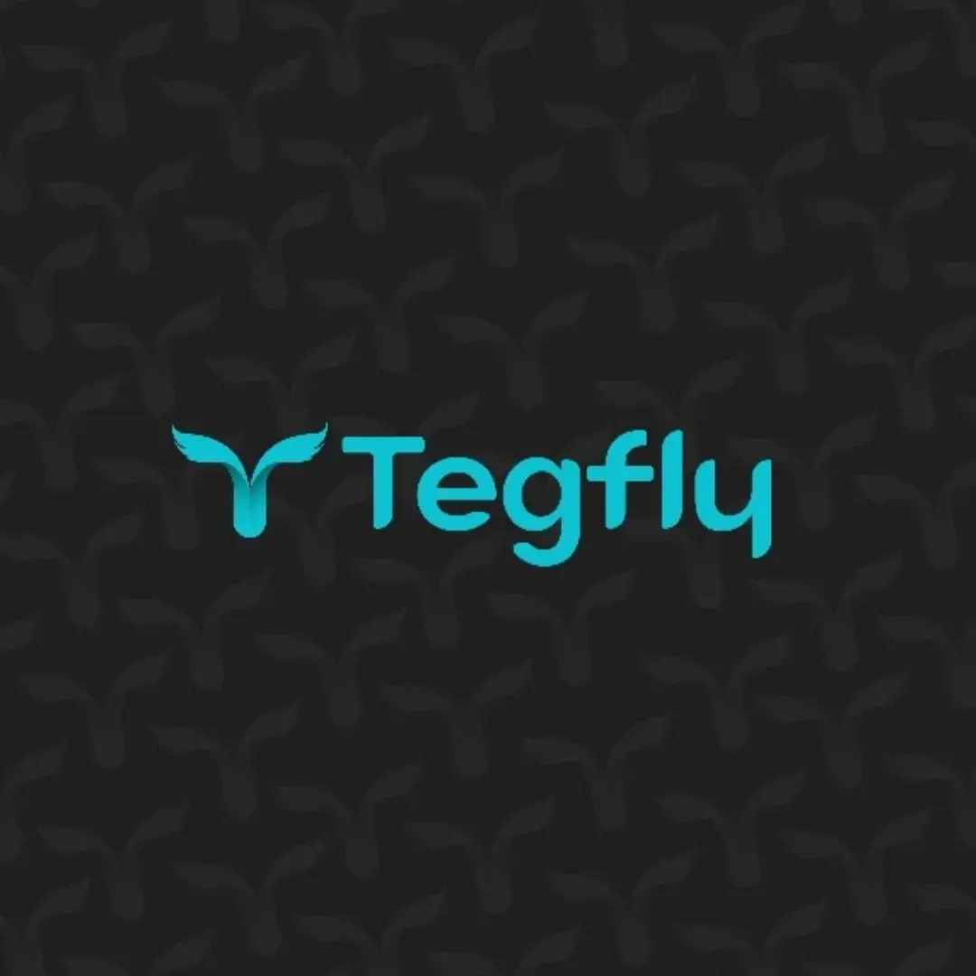 Tegfly company logo with abstract icon